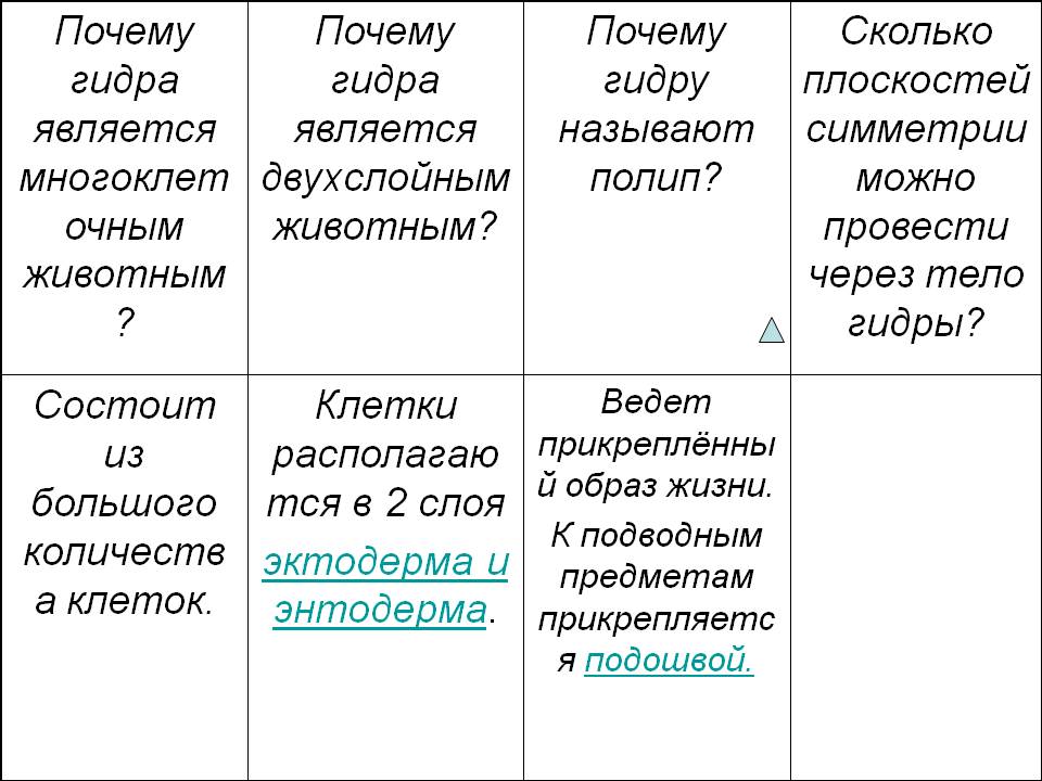 Kraken официальная ссылка tor