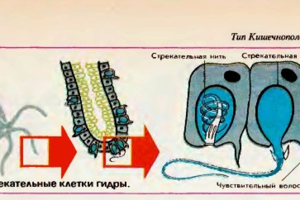 Кракен действующая ссылка