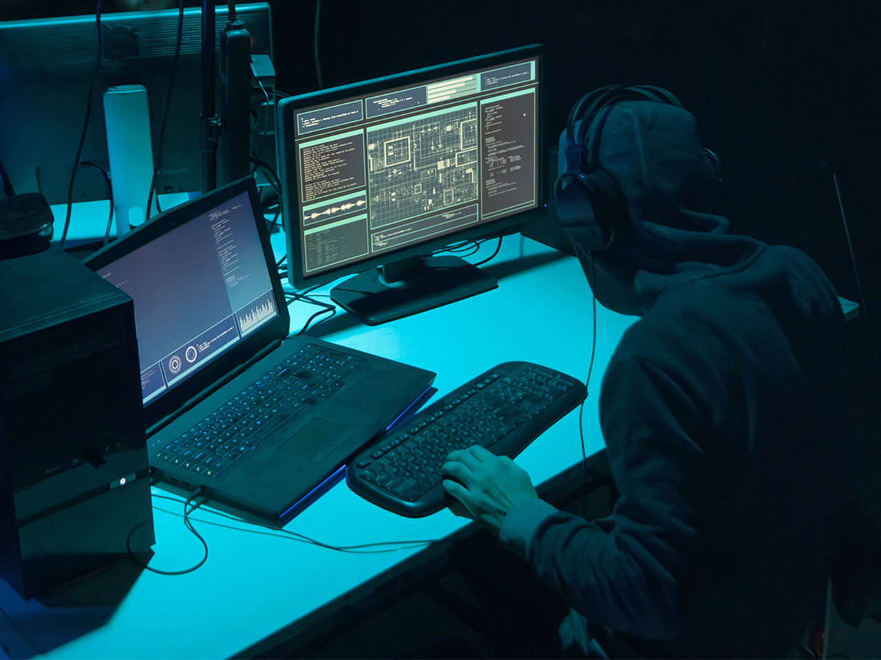 Kraken как найти ссылку