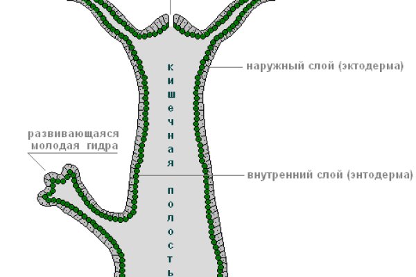 Kraken смылка